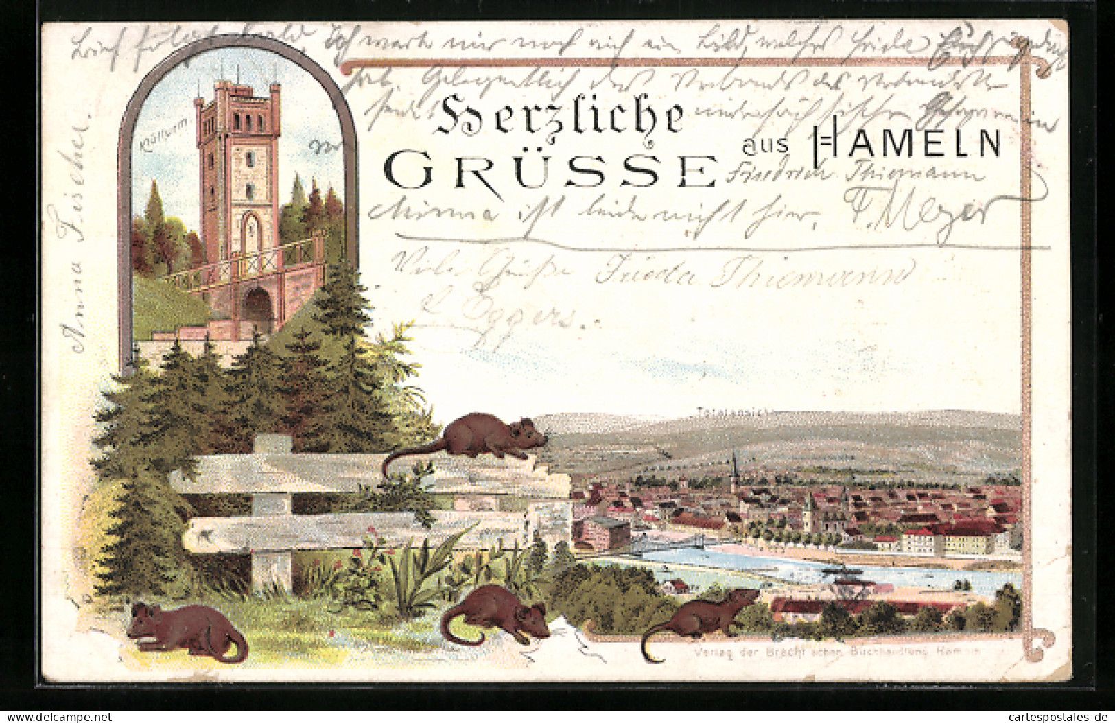 Lithographie Hameln, Klütturm, Ortsansicht, Ratten  - Hameln (Pyrmont)