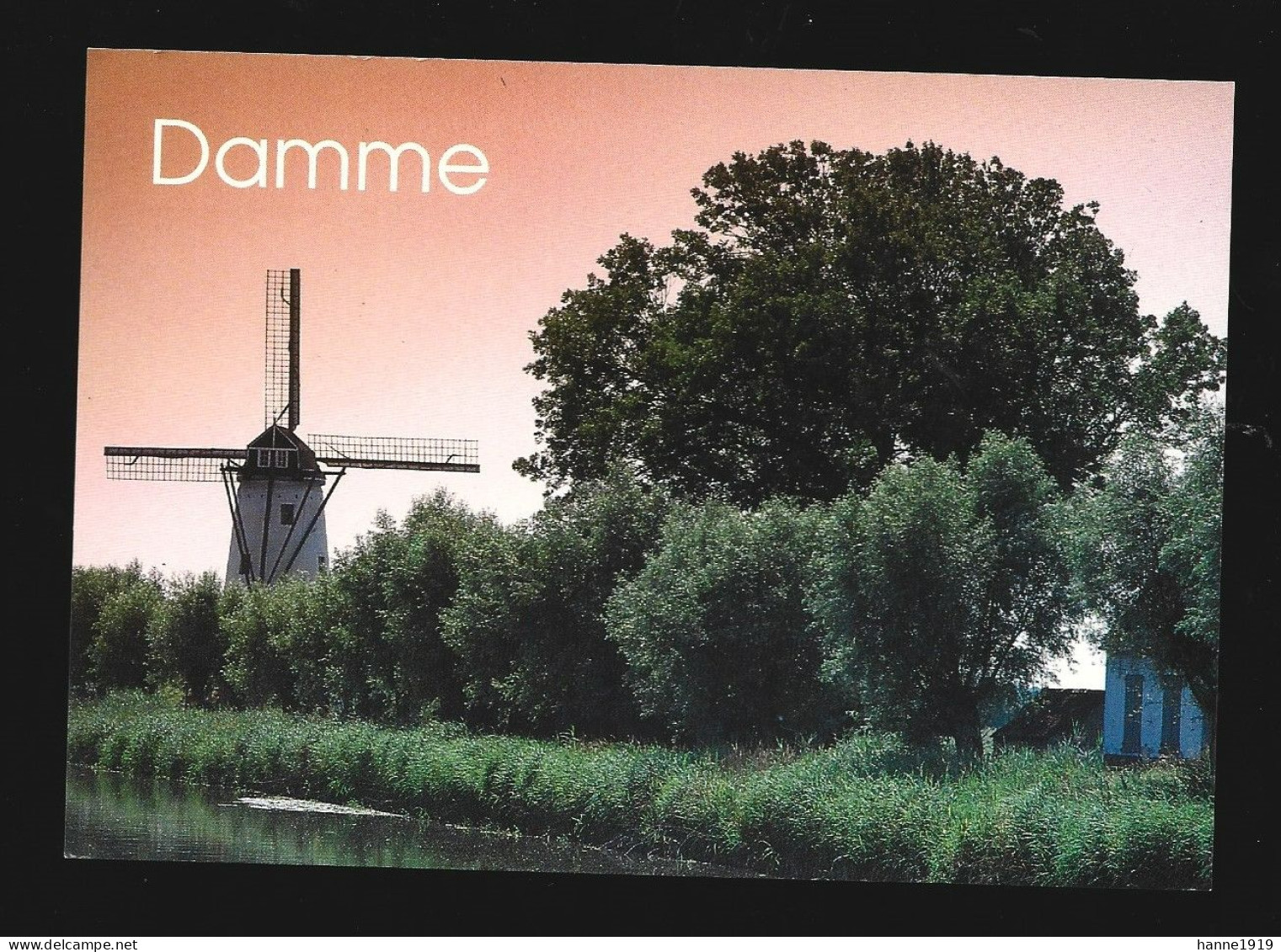 Damme Windmolen Mill Moulin Foto Prentkaart Ypres Photo Carte Htje - Damme