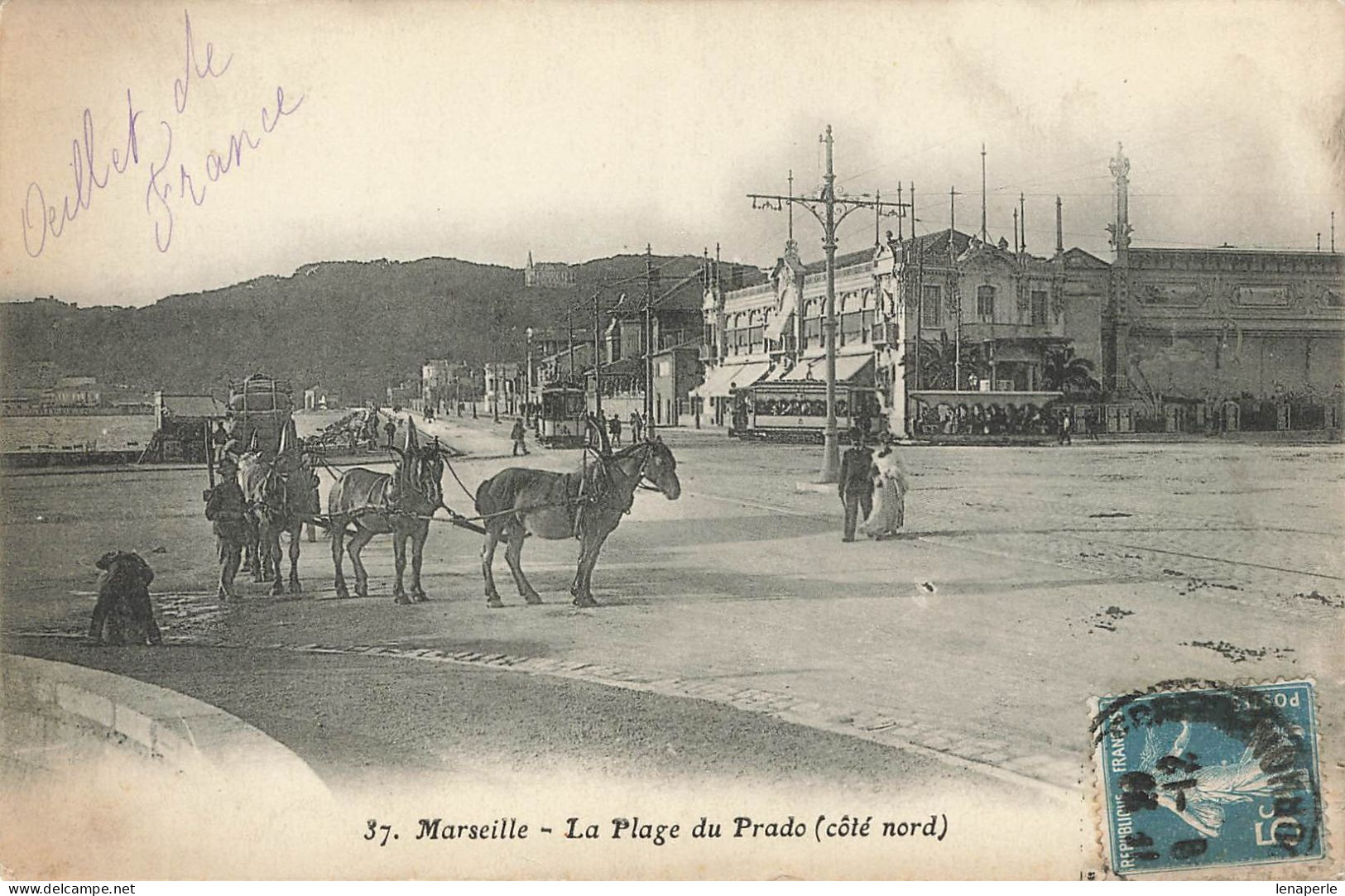 D5808 Marseille La Plage Du Prado - Castellane, Prado, Menpenti, Rouet