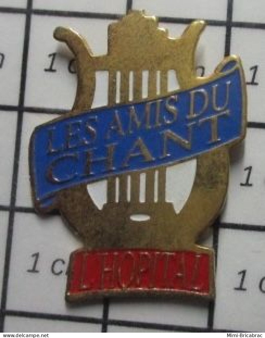 510b Pin's Pins / Beau Et Rare / MUSIQUE / CHORALE LYRE LES AMIS DU CHANT L'HOPITAL - Musica