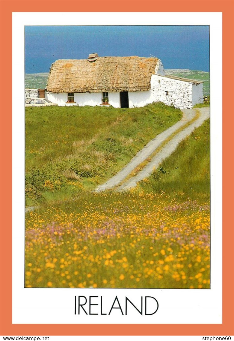 A619 / 619 Irlande A Typical Irish Cottage - Unclassified