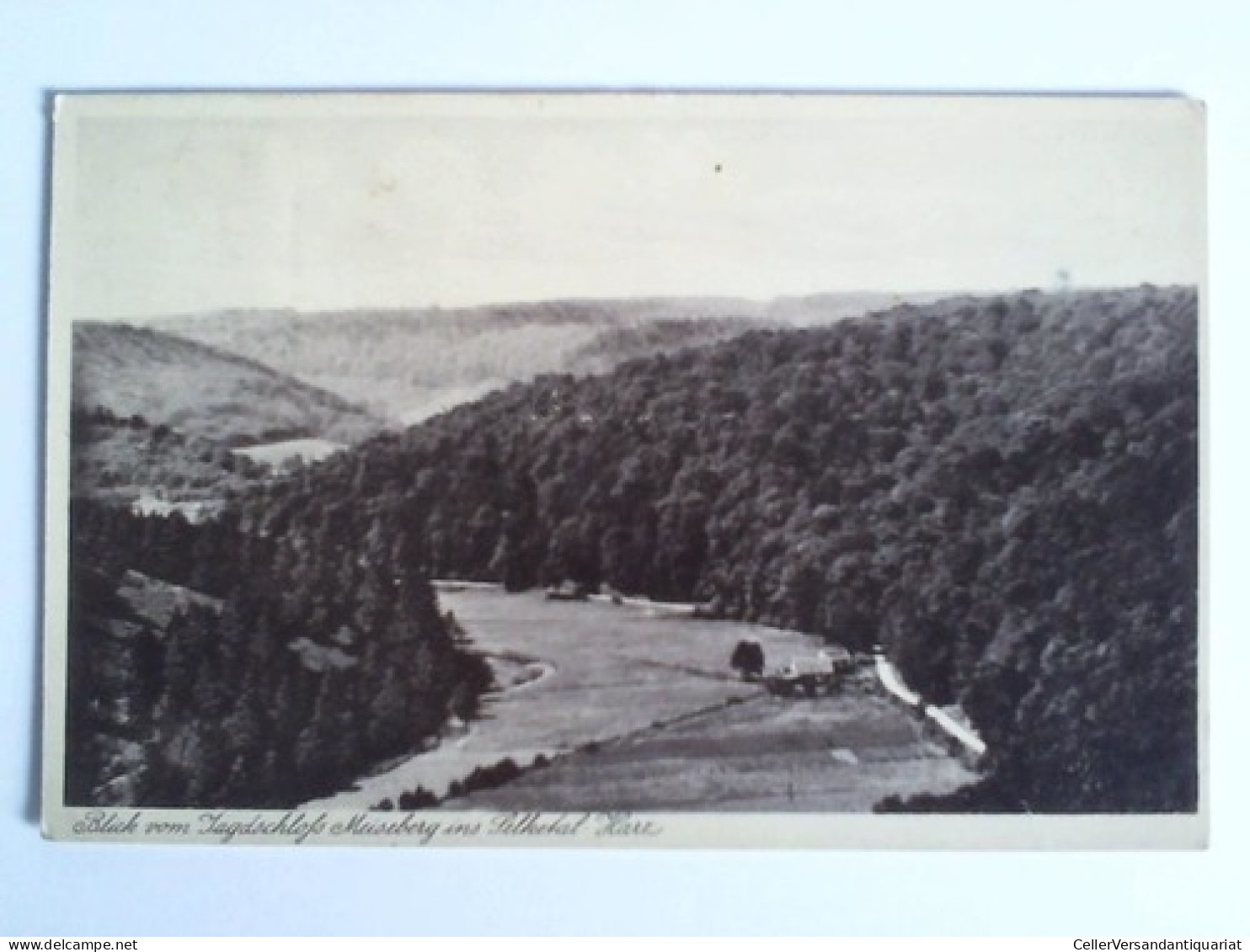 Postkarte: Blick Vom Jagdschloss Meiseberg Ins Selketal - Harz Von Selketal Im Harz - Unclassified