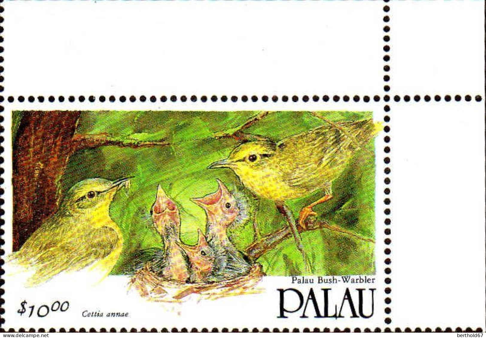Palau Poste N** Yv: 534 Mi:600 Palau Bush-Warbler Cettia Annae Coin D.feuille - Palau