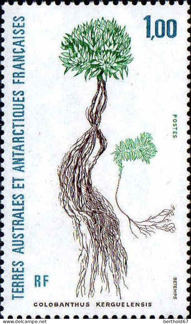 TAAF Poste N** Yv:164 Mi:287 Colobanthus Kerguelensis - Unused Stamps