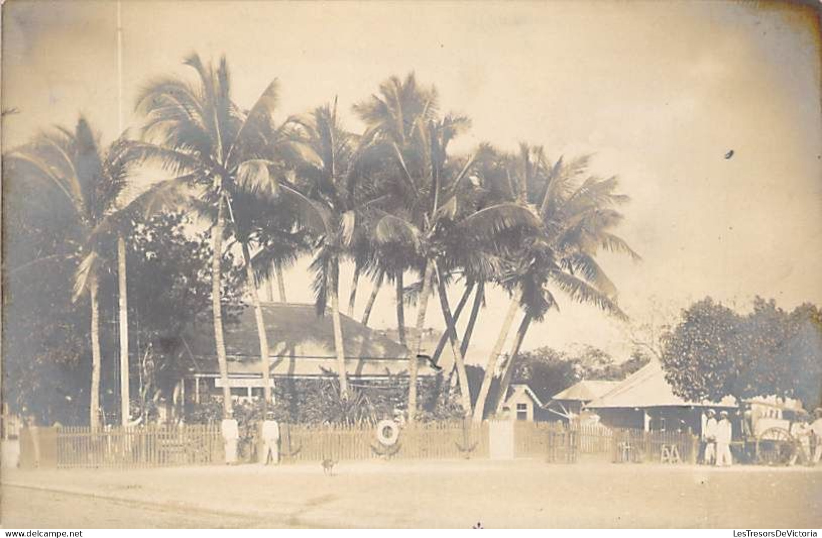 Nouvelle Calédonie - Carte Photo - Direction Port - Port De Nouméa - Palmier - Canaque - Marin - Carte Postale Ancienne - Nouvelle-Calédonie