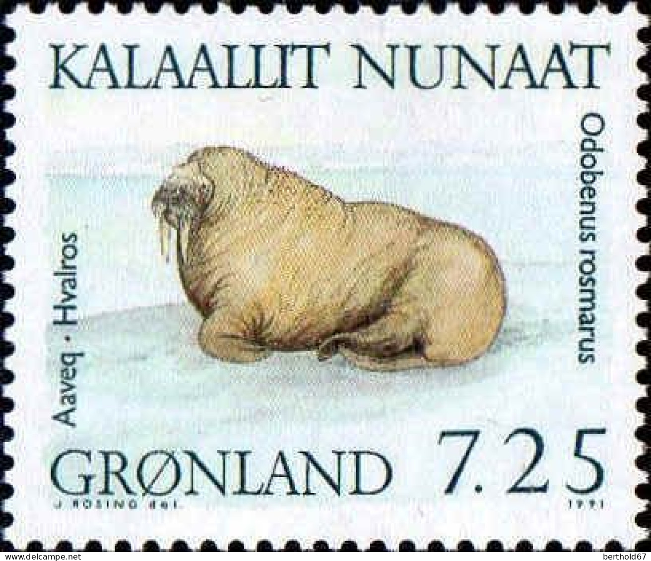 Groenland Poste N** Yv:202 Mi:213 Aaveq Hvalros Odobenus Rosmarus - Neufs