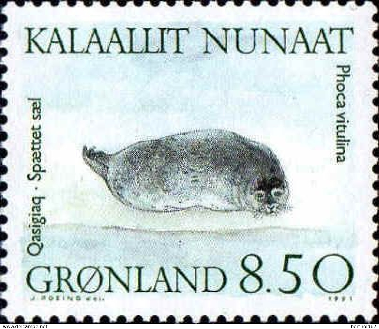 Groenland Poste N** Yv:204 Mi:216 Quasigiaq Spaettet Sael Phoca Vitulina - Unused Stamps