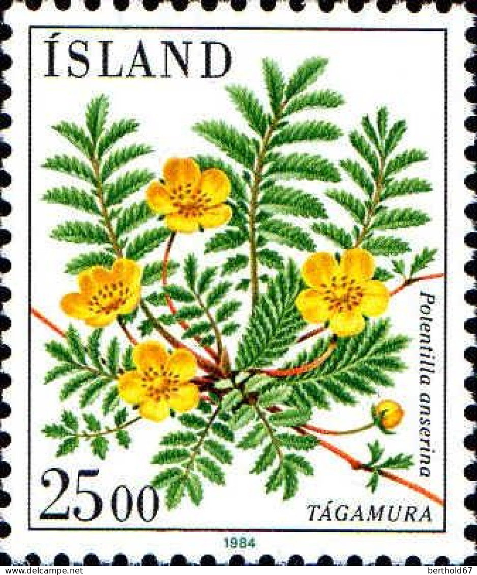 Islande Poste N** Yv:566 Mi:613 Tagamura Potentilla Anserina - Unused Stamps