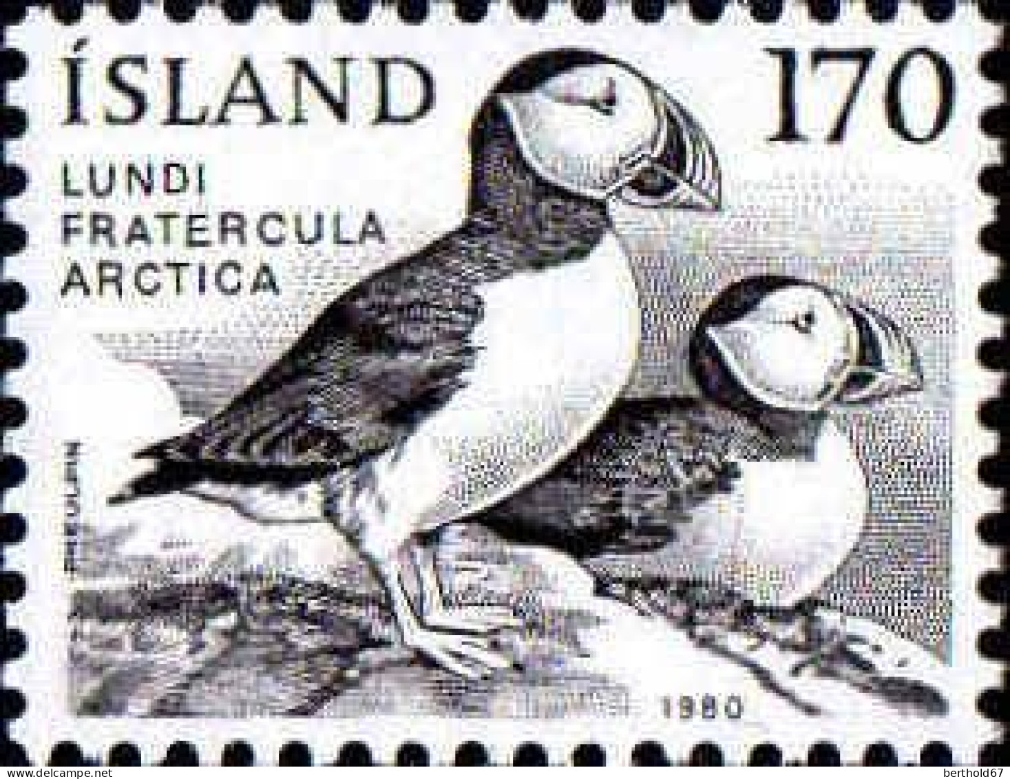 Islande Poste N** Yv:512 Mi:559 Lundi Fratercula Arctica - Unused Stamps