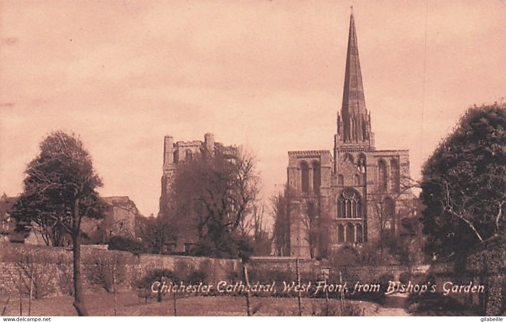 Sussex  - CHICHESTER Cathedral - West Front From Bishop's Garden - Chichester