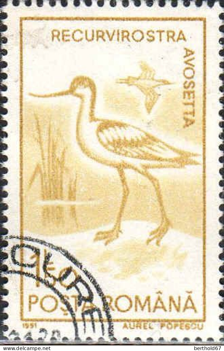 Roumanie Poste Obl Yv:3921/3930 Oiseaux (TB Cachet Rond) - Gebruikt