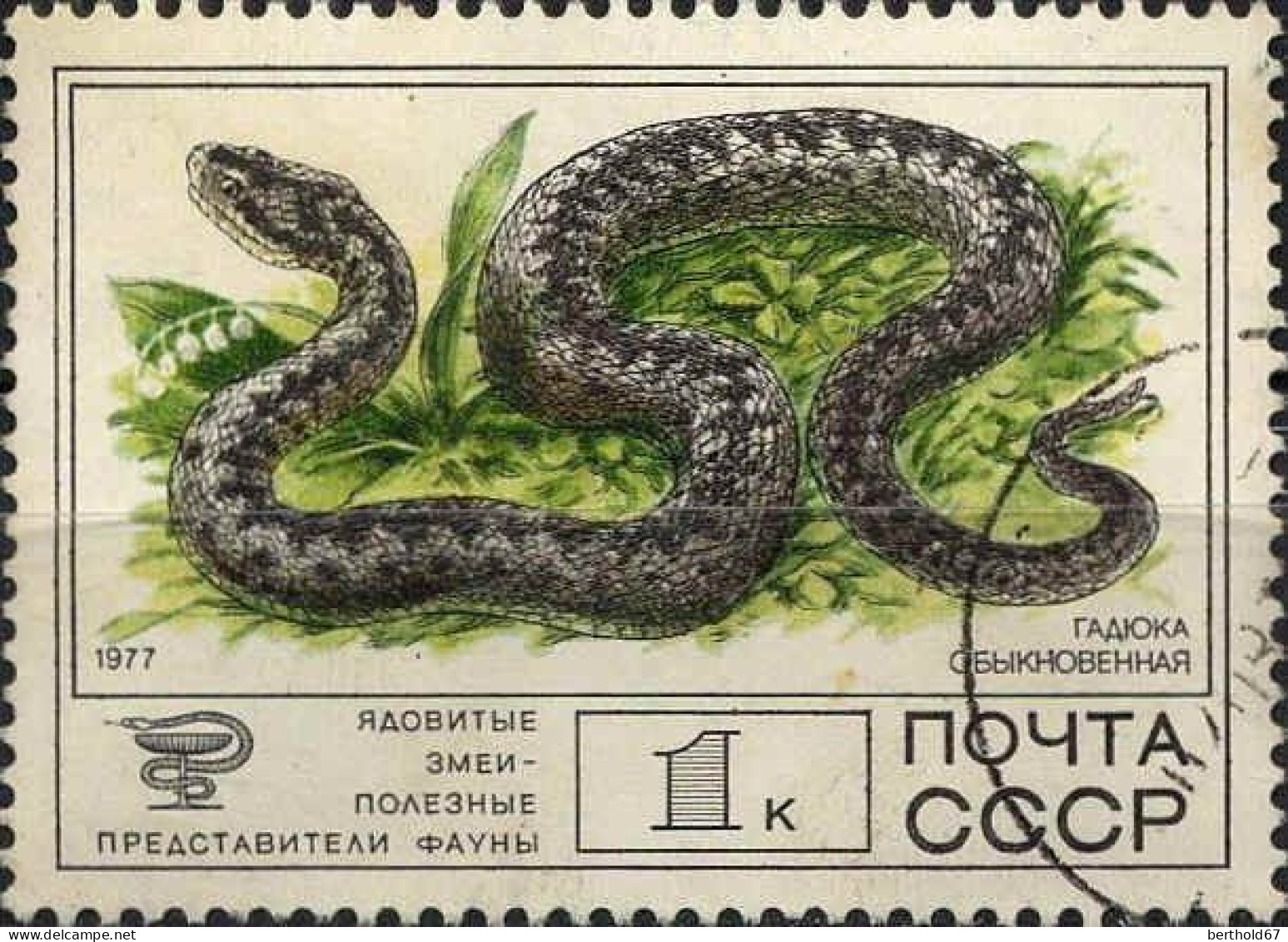 Russie Poste Obl Yv:4438 Mi:4678 Vipère Commune Vipera Berus (Beau Cachet Rond) - Used Stamps