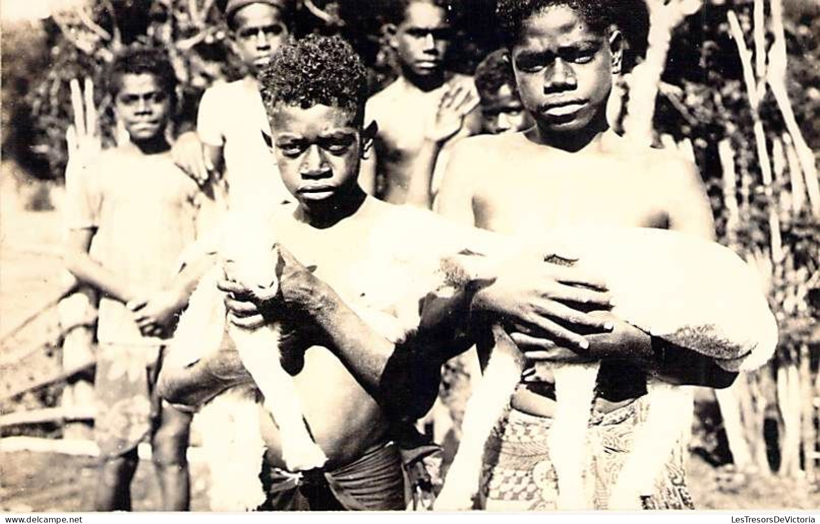 Nouvelle Calédonie - Carte Photo - Enfants Canaques Portant Une Chèvre - Carte Postale Ancienne - New Caledonia