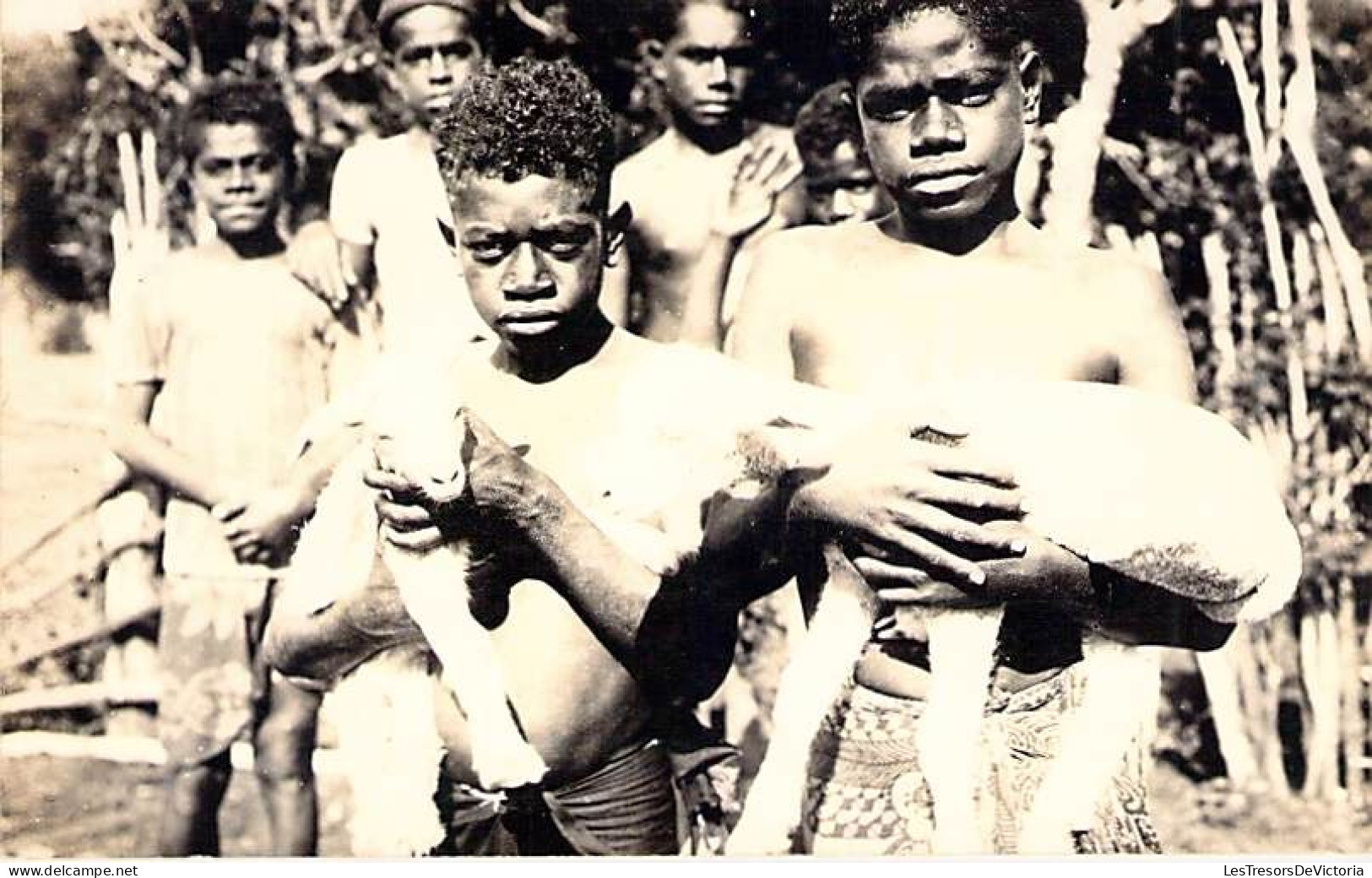 Nouvelle Calédonie - Carte Photo - Enfants Canaques Portant Une Chèvre - Carte Postale Ancienne - Nieuw-Caledonië