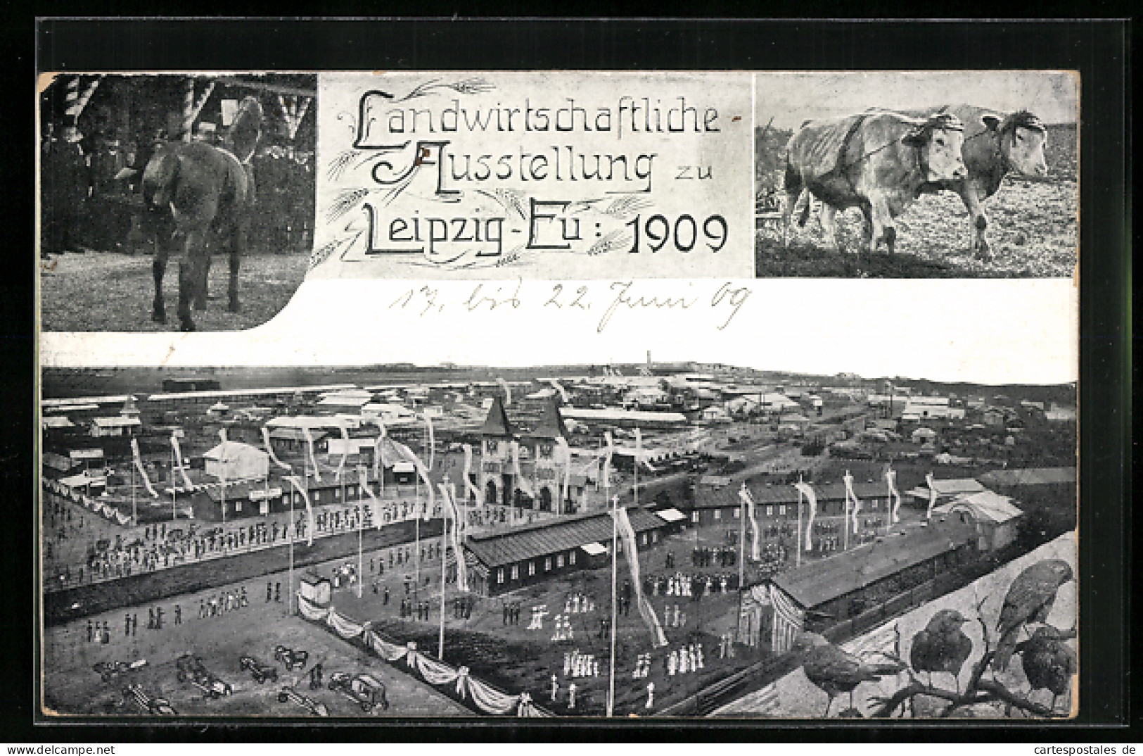 AK Leipzig-Eu, Landwirtschaftliche Ausstellung 1909  - Esposizioni