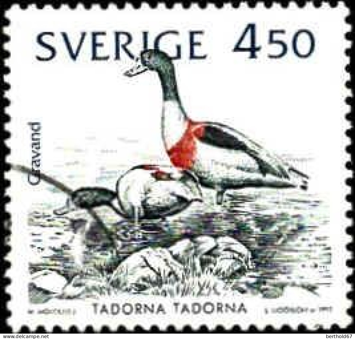 Suède Poste Obl Yv:1727 Mi:1745 Tadorna Tadorma (cachet Rond) - Gebruikt