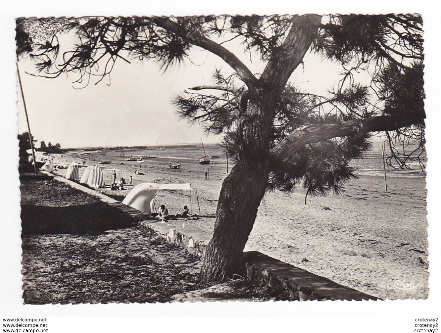 17 RONCE LES BAINS Vers La Tremblade La Plage En 1945 VOIR DOS Et Timbre - La Tremblade