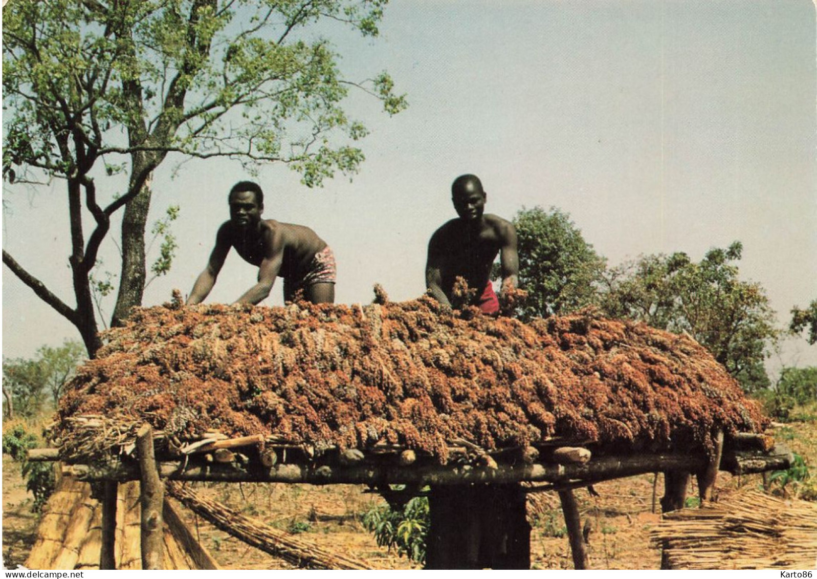 Bénin * Parakou , Province De Borgou * Grenier De Mil , Ferme Oredola * éthnique Ethnic Ethno - Benin