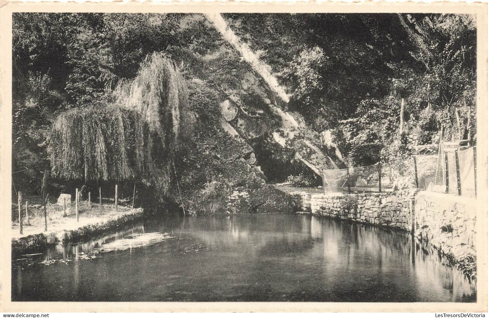 BELGIQUE - Nismes - Sortie De L'eau Noire De La Montagne - Carte Postale Ancienne - Philippeville