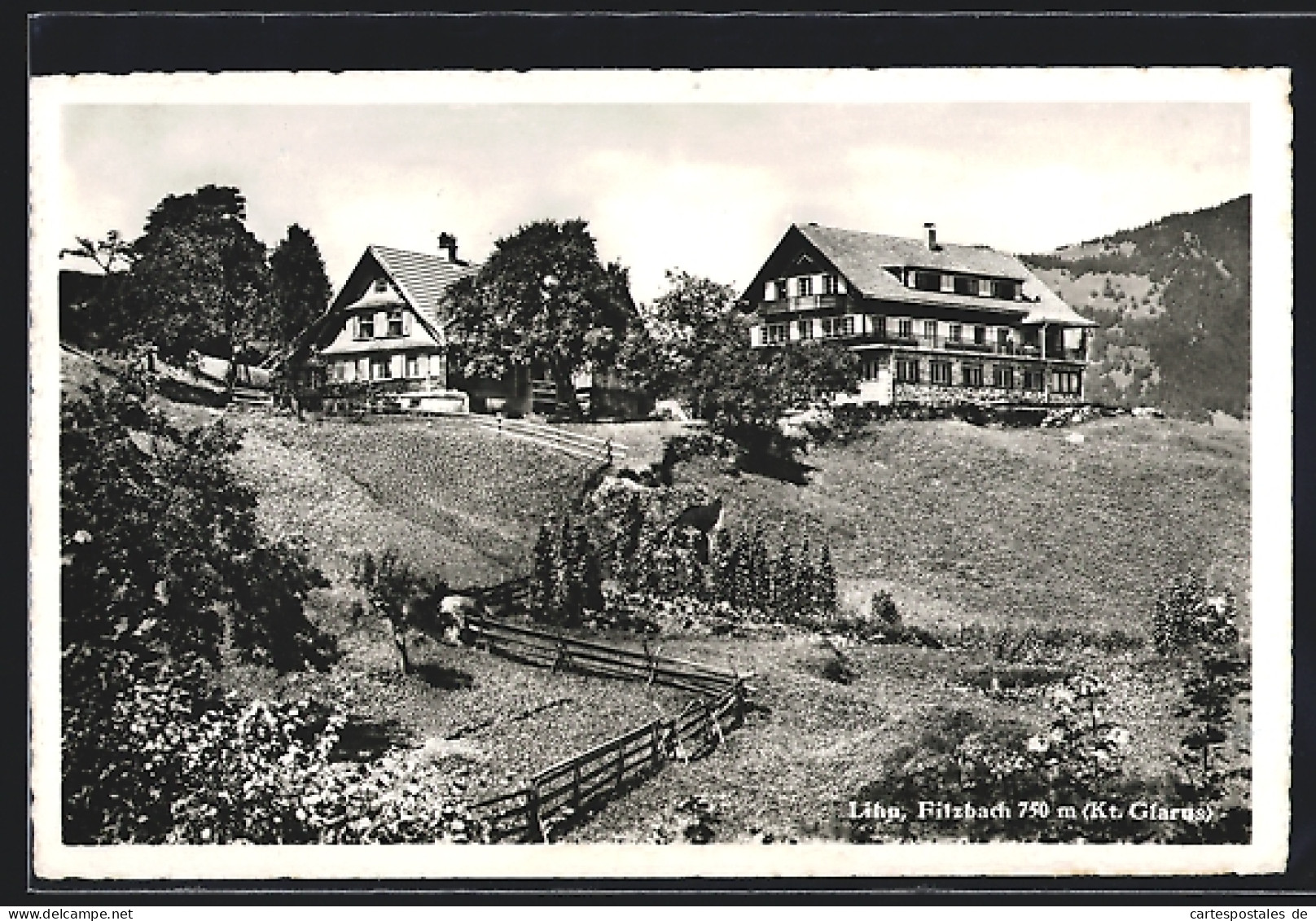 AK Filzbach, Hotel Lihn Im Sommer  - Filzbach