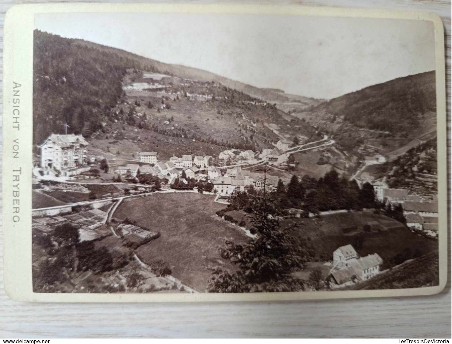 Photographie Ancienne 13/18cm - Ansicht Von Tryberg - Montagne - Panorama - Europe