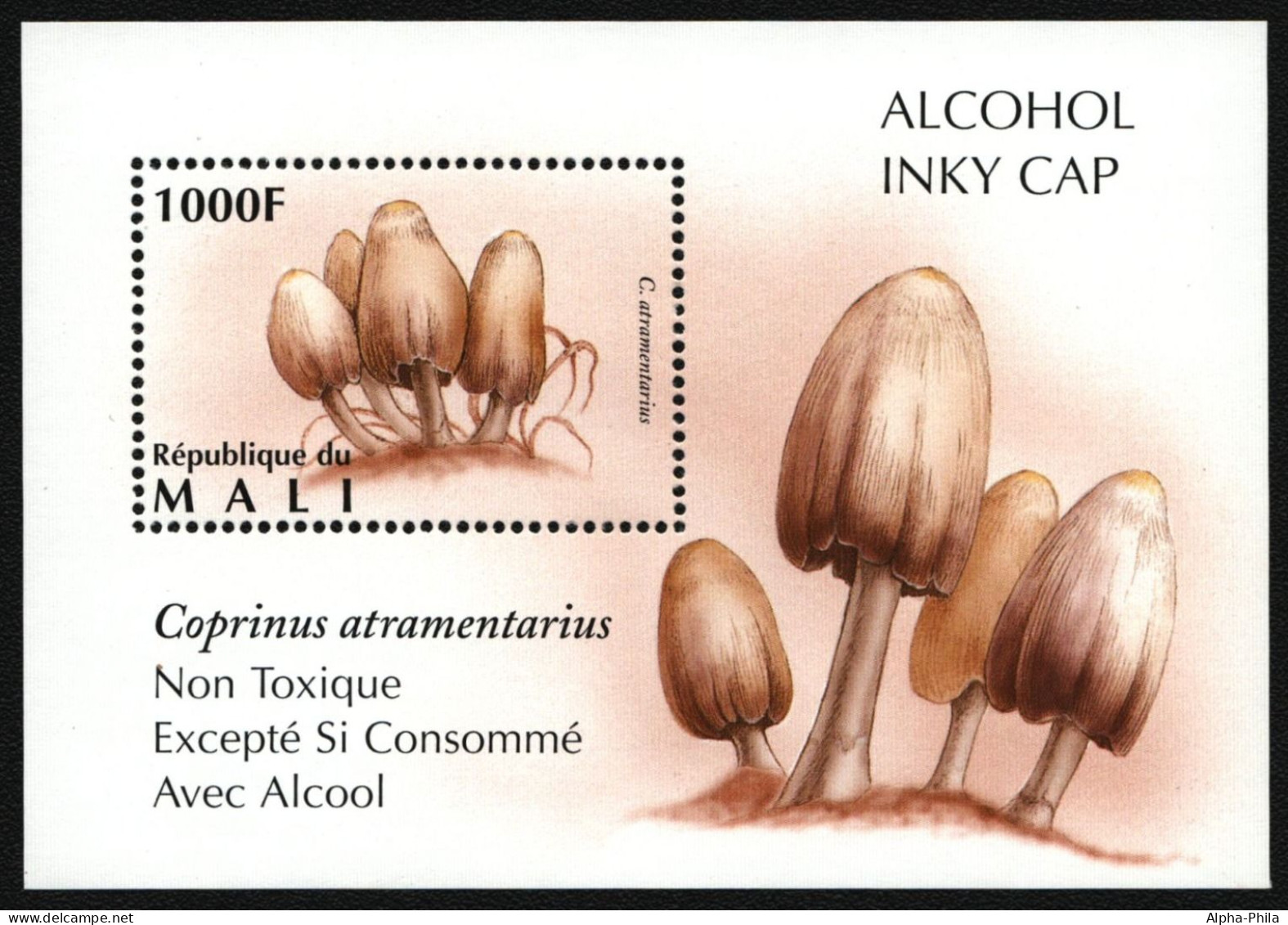 Mali 1996 - Mi-Nr. Block 78 ** - MNH - Pilze / Mushrooms - Malí (1959-...)