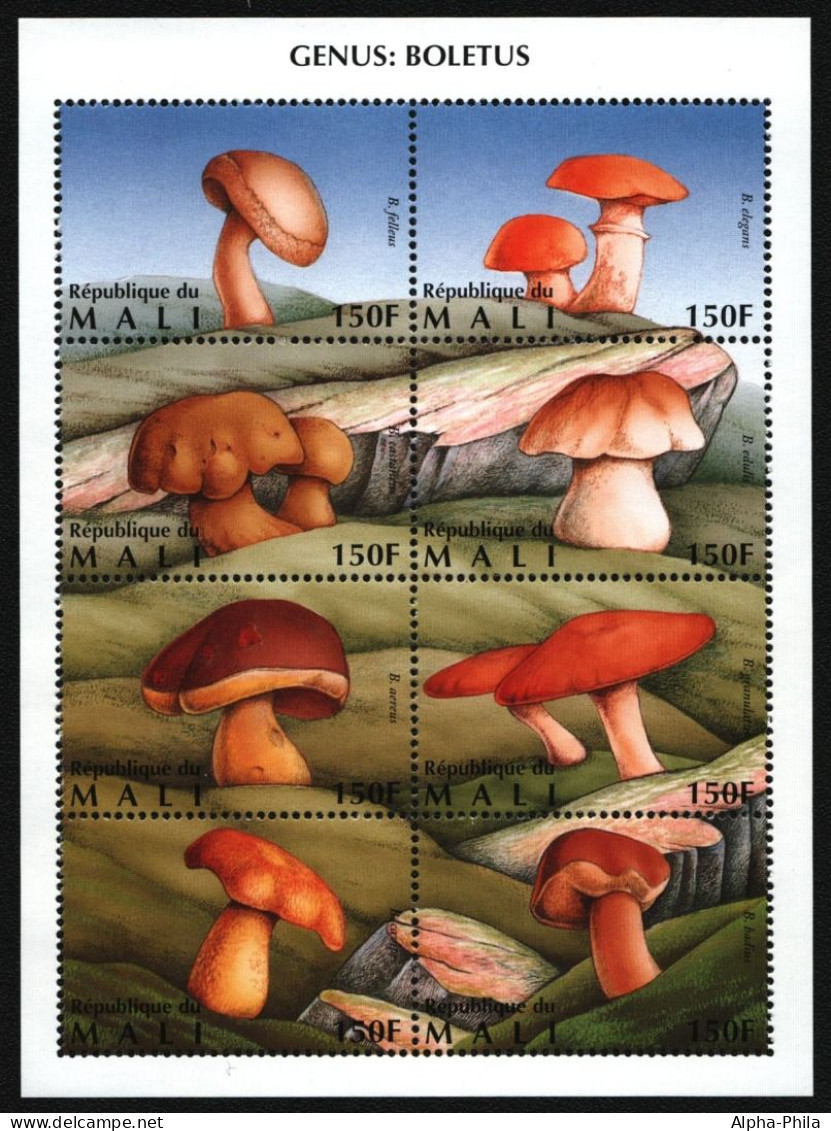 Mali 1996 - Mi-Nr. 1472-1479 ** - MNH - KLB - Pilze / Mushrooms - Malí (1959-...)