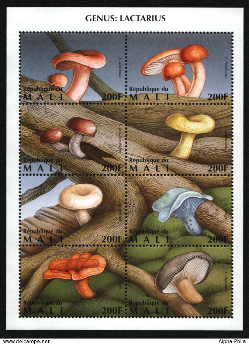 Mali 1996 - Mi-Nr. 1480-1487 ** - MNH - KLB - Pilze / Mushrooms - Malí (1959-...)