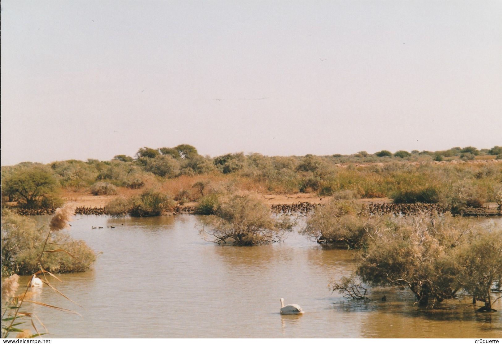 PHOTOGRAPHIES ORIGINALES / AFRIQUE - SENEGAL - DJOUGJ En 2000  (lot De 41 Photos) - Amérique