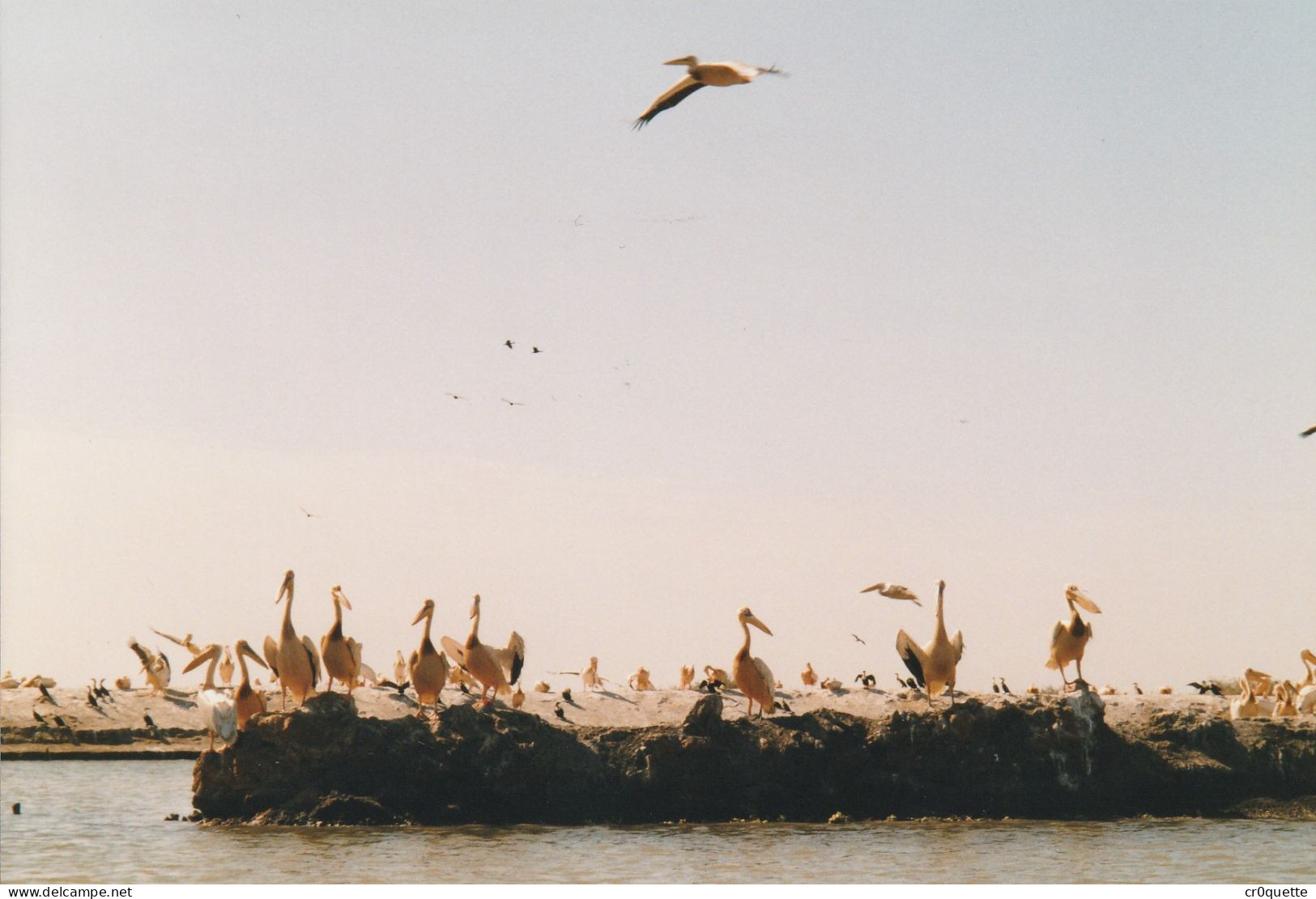 PHOTOGRAPHIES ORIGINALES / AFRIQUE - SENEGAL - DJOUGJ En 2000  (lot De 41 Photos) - Amérique