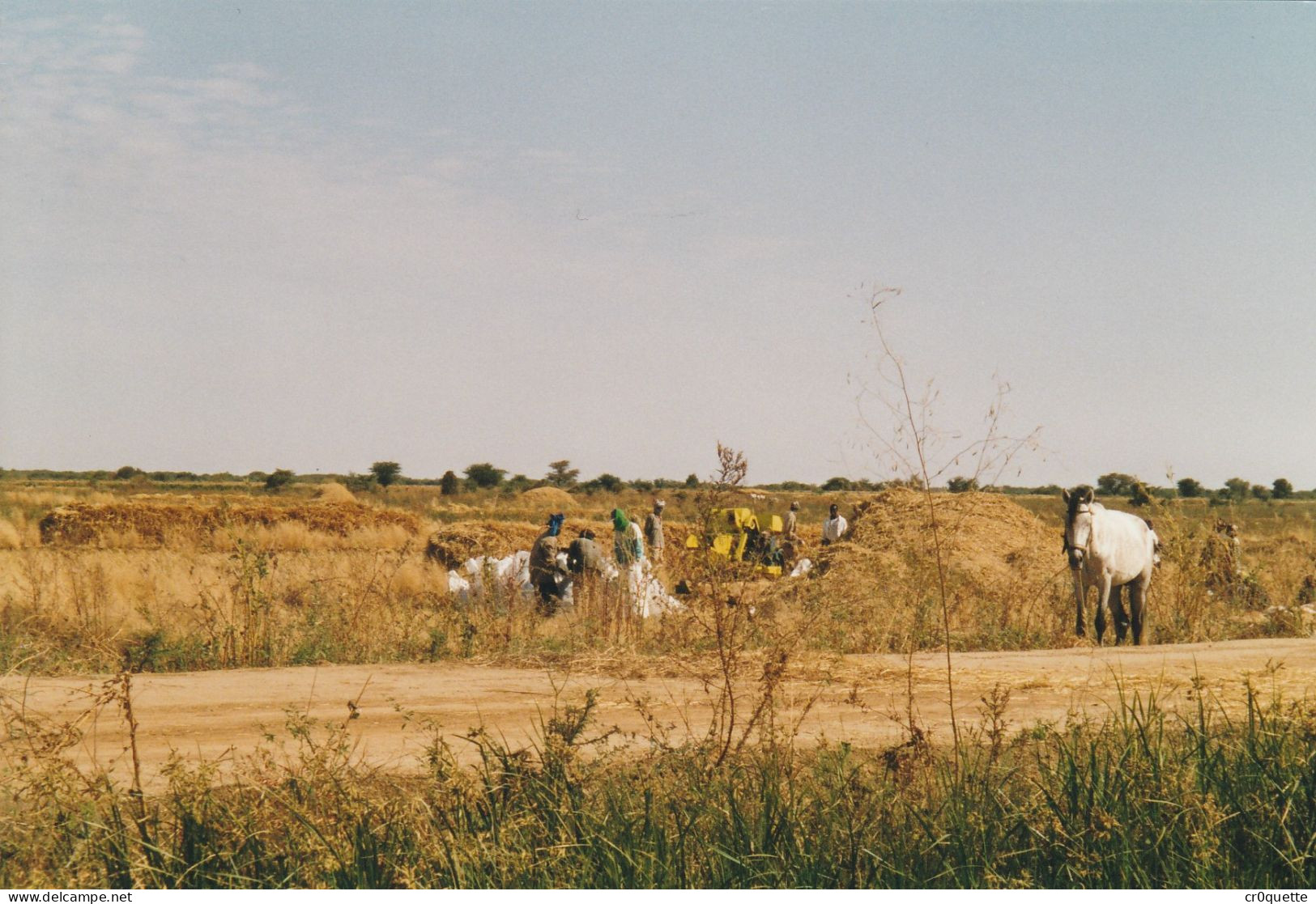 PHOTOGRAPHIES ORIGINALES / AFRIQUE - SENEGAL - DJOUGJ en 2000  (lot de 41 photos)