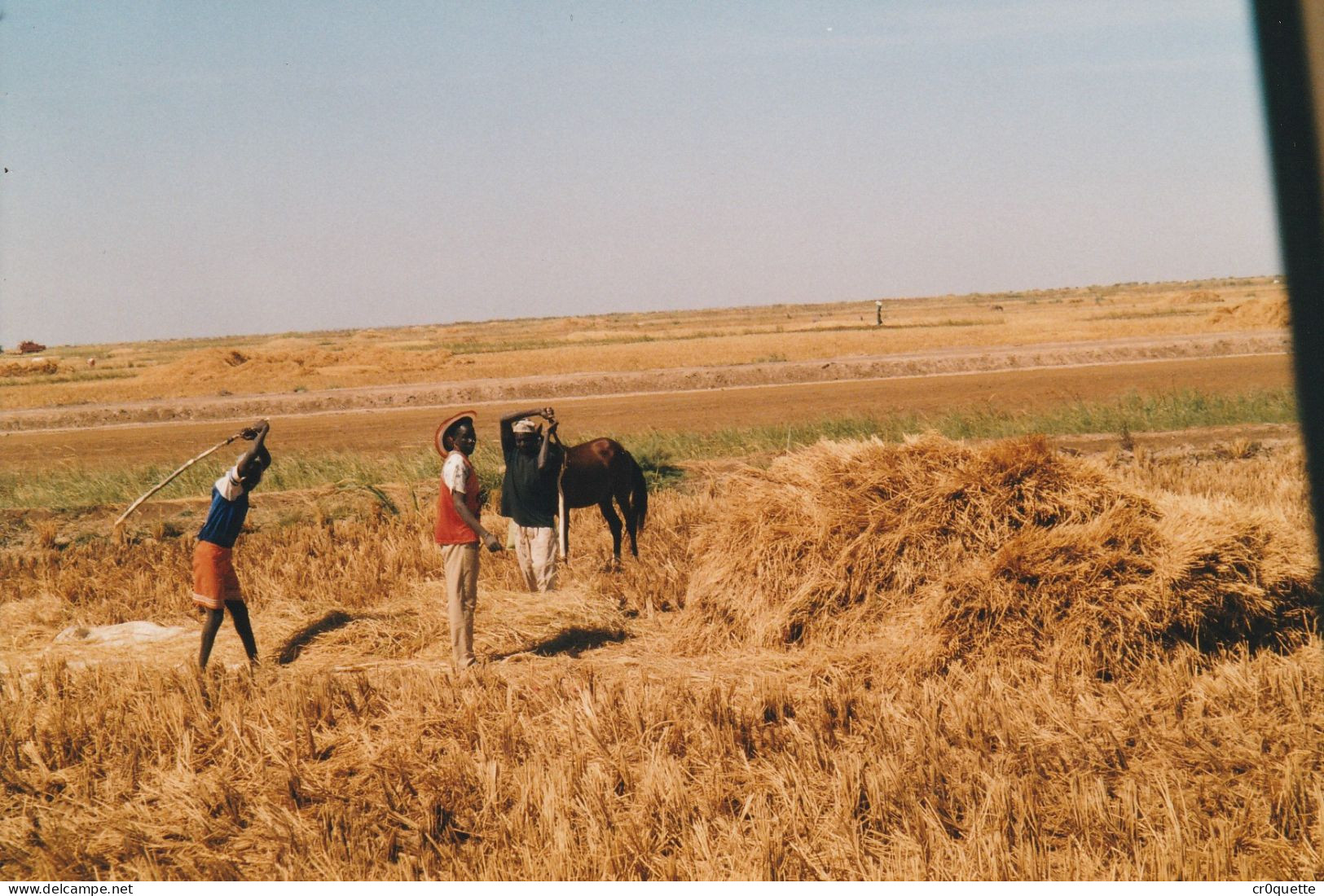 PHOTOGRAPHIES ORIGINALES / AFRIQUE - SENEGAL - DJOUGJ en 2000  (lot de 41 photos)