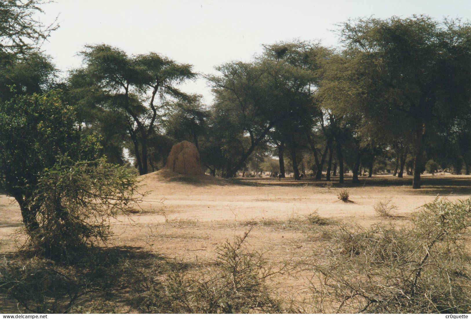 PHOTOGRAPHIES ORIGINALES / AFRIQUE - SENEGAL - DJOUGJ en 2000  (lot de 41 photos)