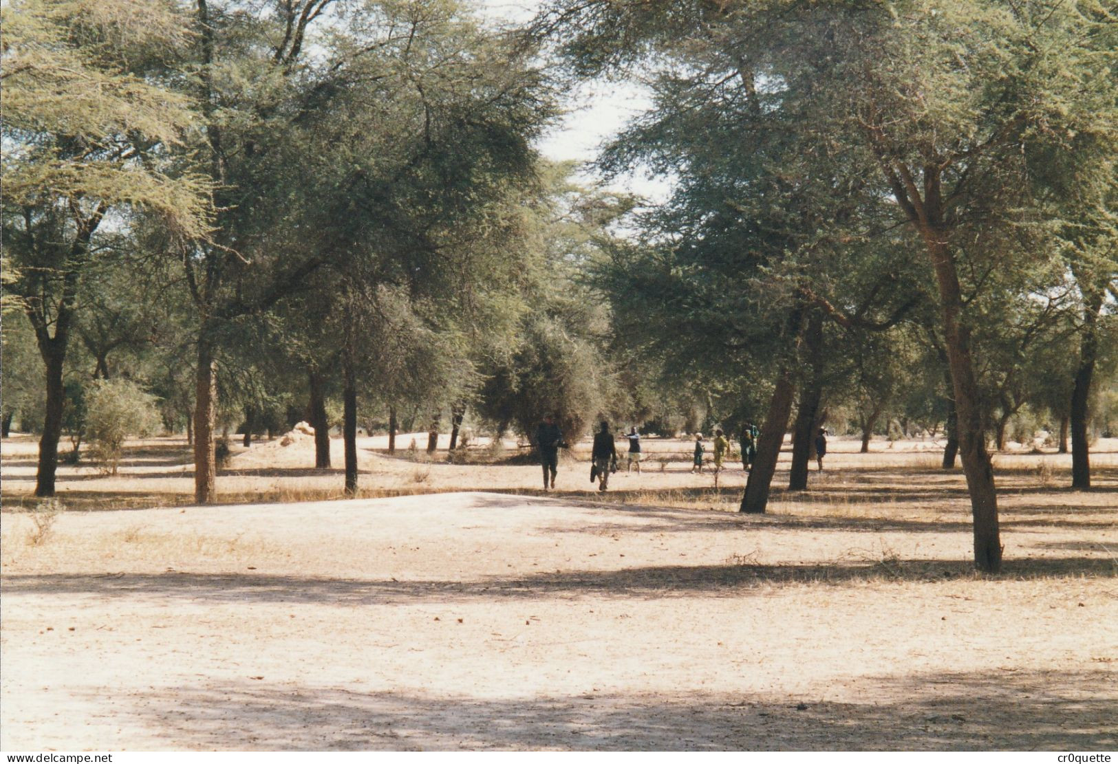 PHOTOGRAPHIES ORIGINALES / AFRIQUE - SENEGAL - DJOUGJ en 2000  (lot de 41 photos)