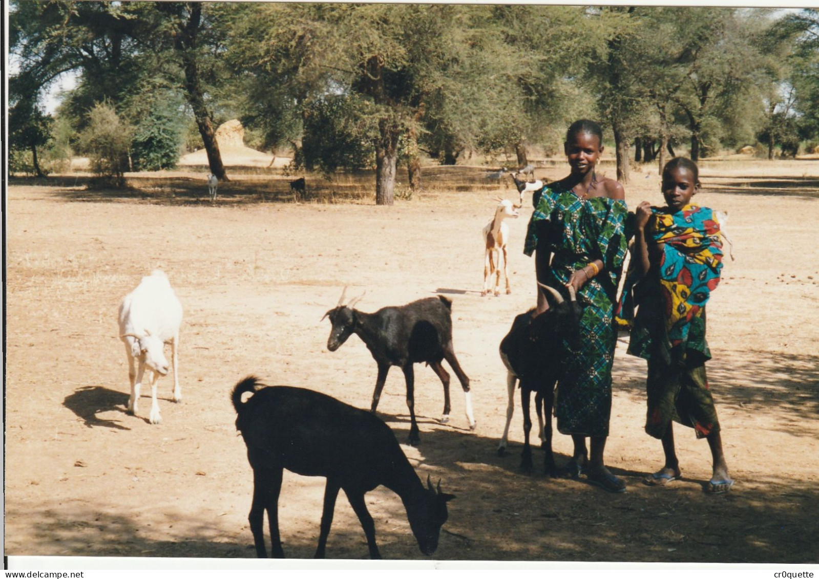 PHOTOGRAPHIES ORIGINALES / AFRIQUE - SENEGAL - DJOUGJ en 2000  (lot de 41 photos)