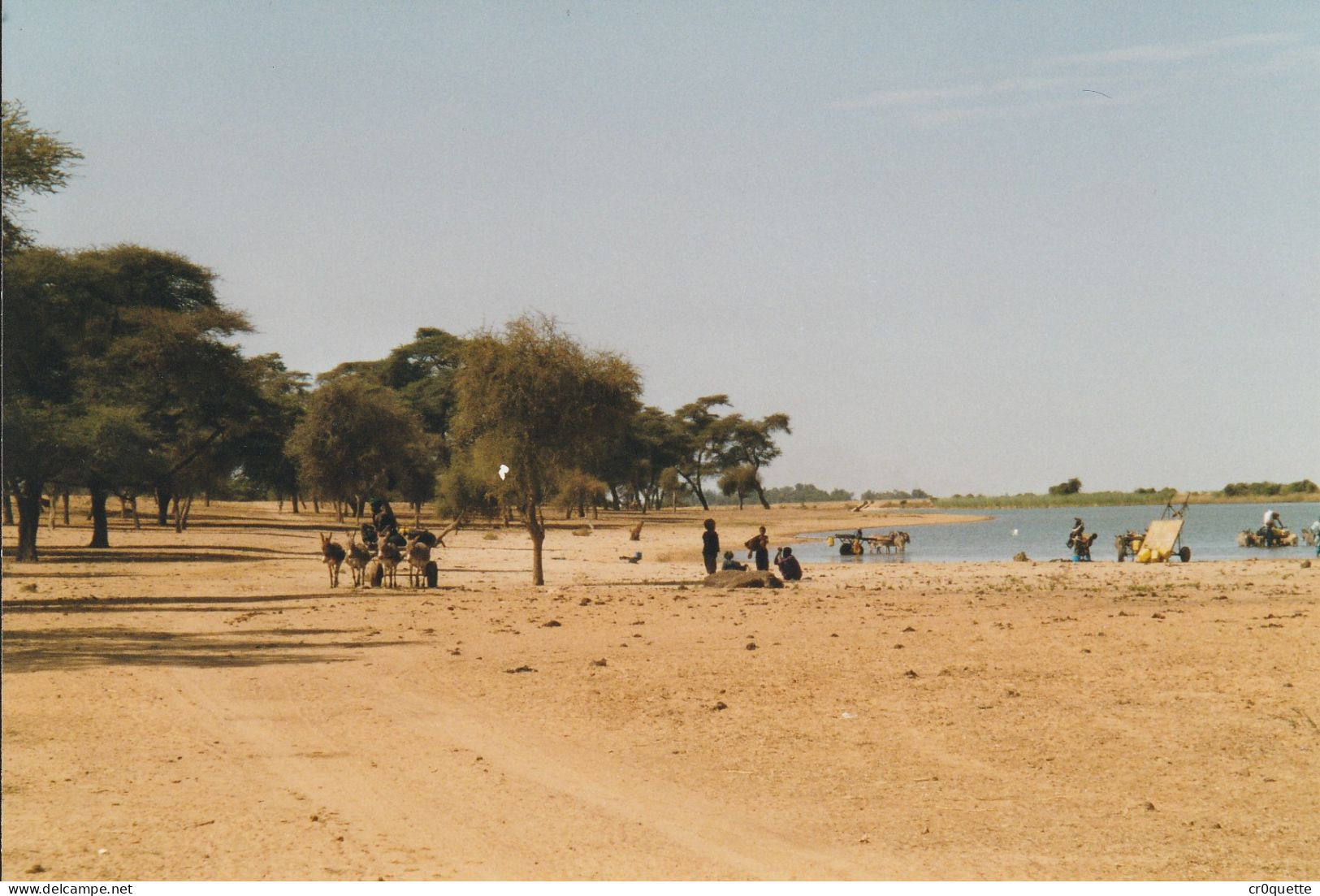 PHOTOGRAPHIES ORIGINALES / AFRIQUE - SENEGAL - DJOUGJ en 2000  (lot de 41 photos)