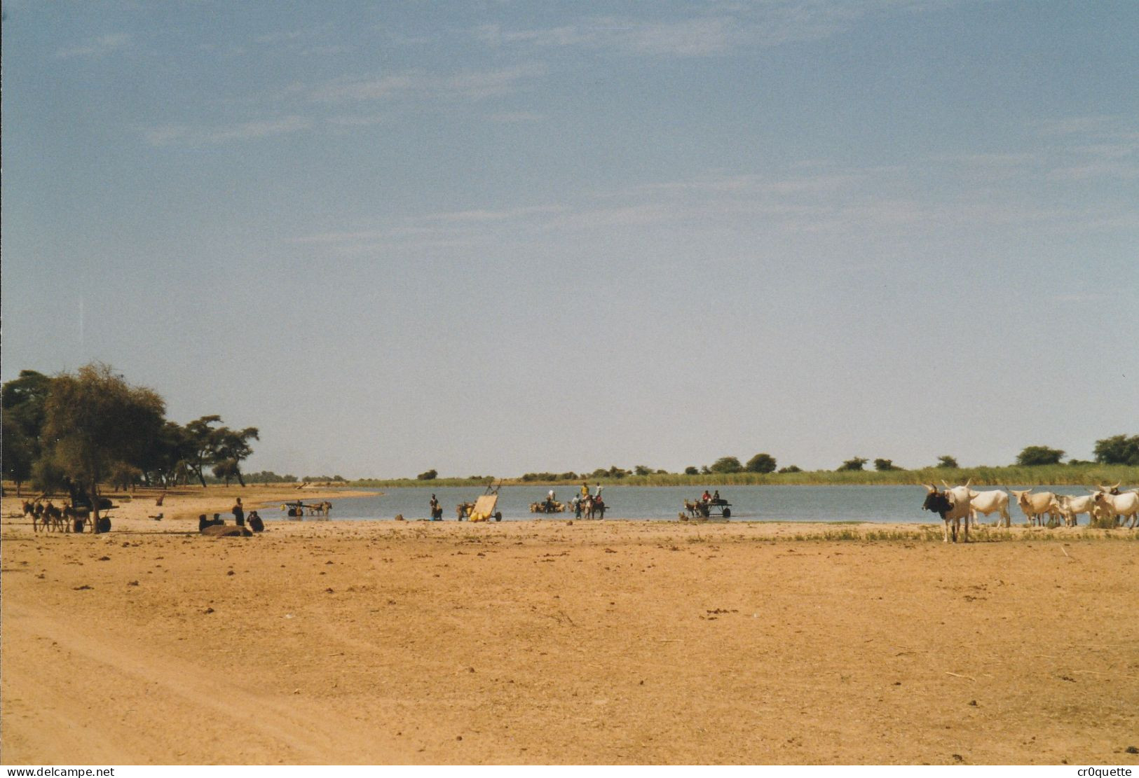 PHOTOGRAPHIES ORIGINALES / AFRIQUE - SENEGAL - DJOUGJ en 2000  (lot de 41 photos)