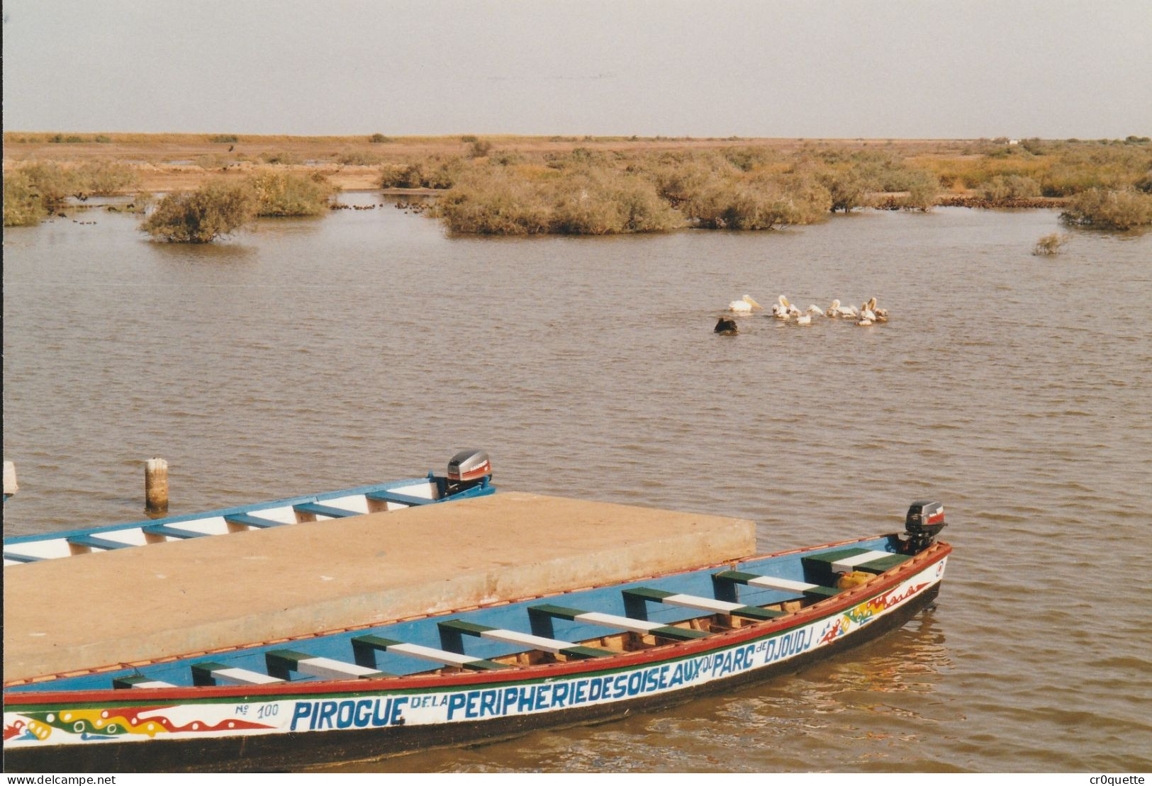 PHOTOGRAPHIES ORIGINALES / AFRIQUE - SENEGAL - DJOUGJ en 2000  (lot de 41 photos)