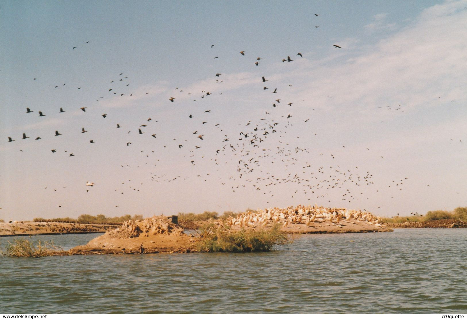 PHOTOGRAPHIES ORIGINALES / AFRIQUE - SENEGAL - DJOUGJ en 2000  (lot de 41 photos)