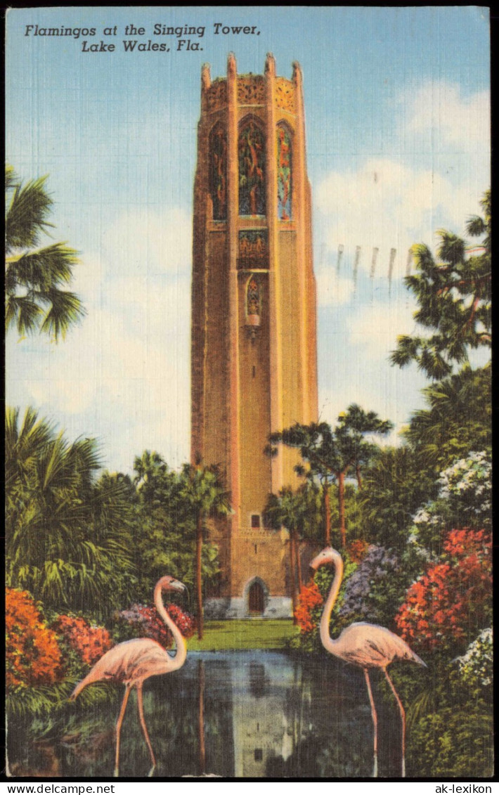 Postcard Lake Wales Florida Flamingos At The Singing Tower 1951 - Autres & Non Classés