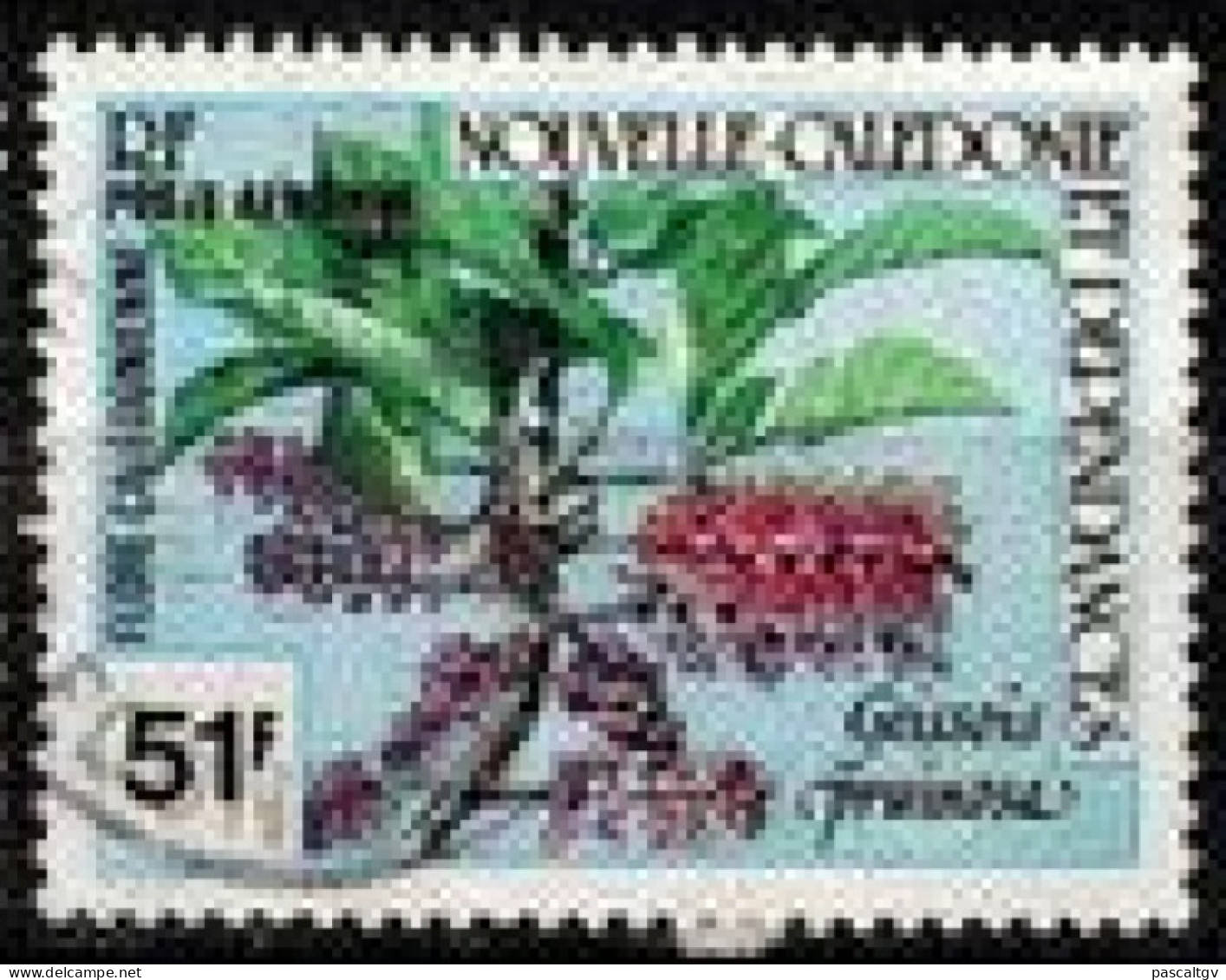 Nouvelle Calédonie - 1981 - PA N° 211 Oblitéré - Gebraucht