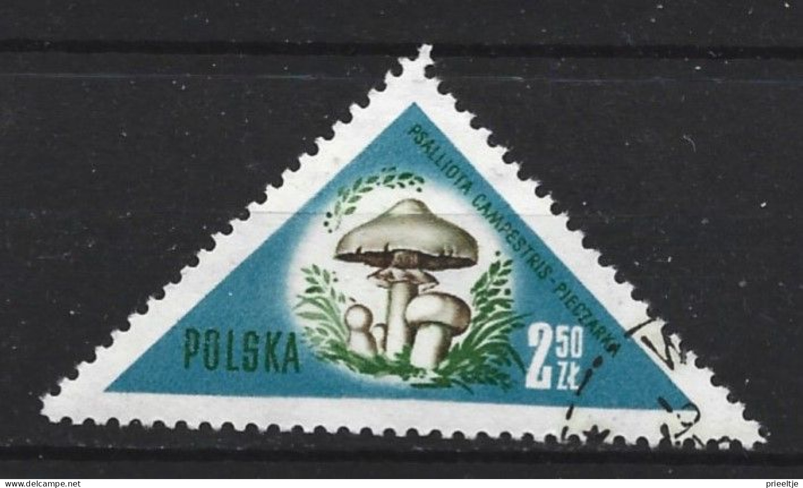 Poland 1959 Mushrooms  Y.T. 964 (0) - Usados