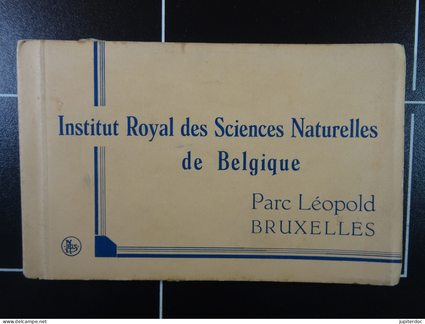 Carnet De 20 CP Institut Royal Des Sciences Naturelles De Belgique - Museos