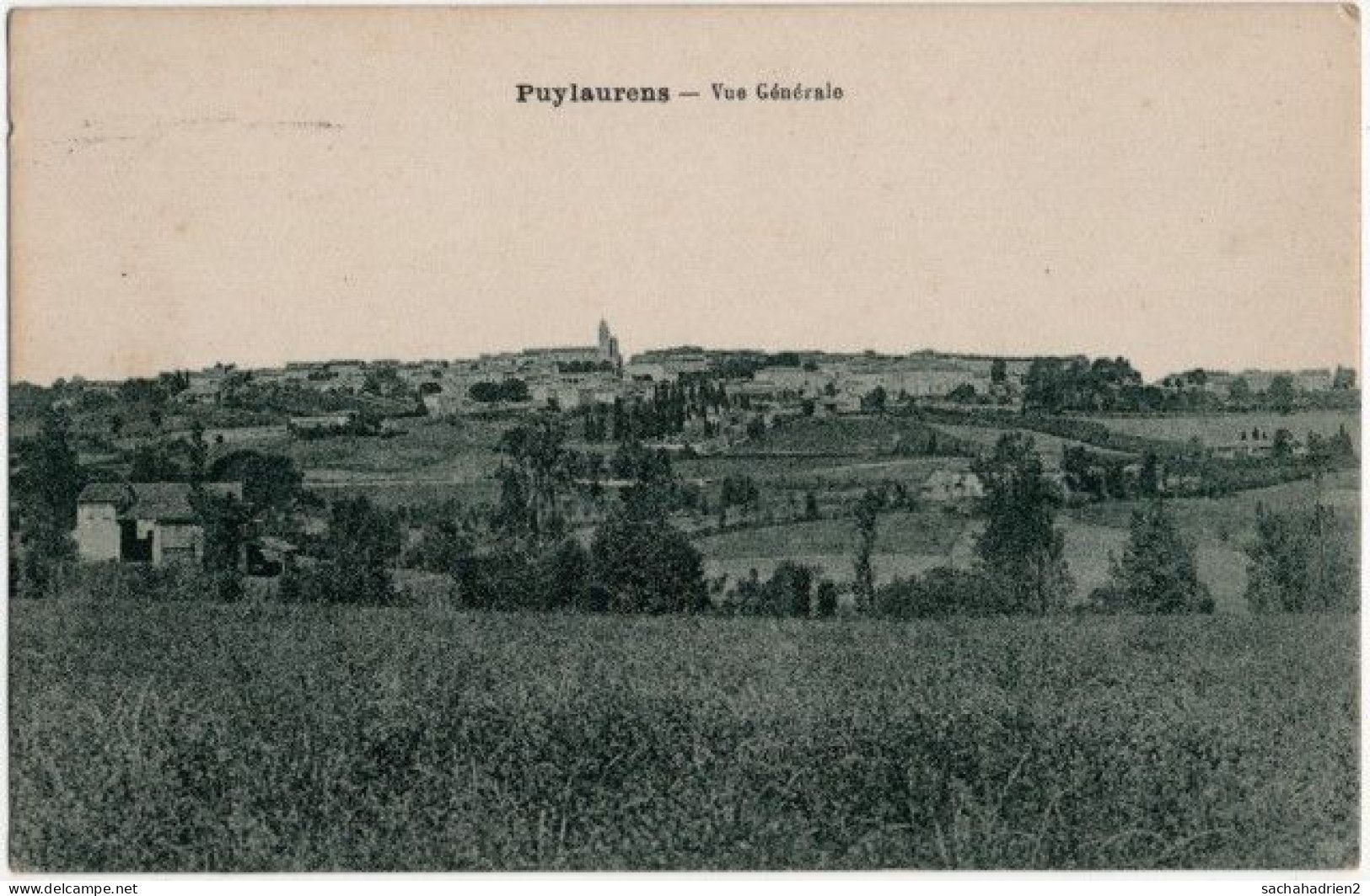 81. PUYLAURENS. Vue Générale - Puylaurens