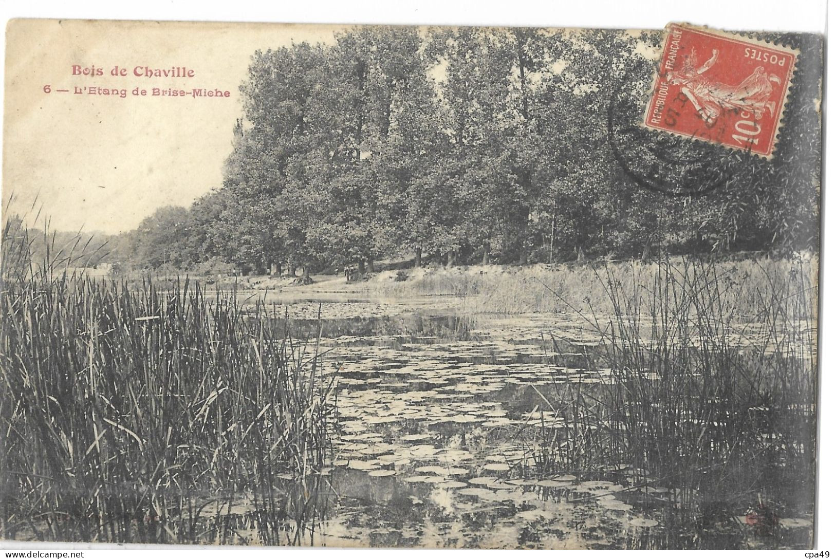 92    BOIS  DE  CHAVILLE   L' ETANG  DE  BRISE - MICHE - Chaville