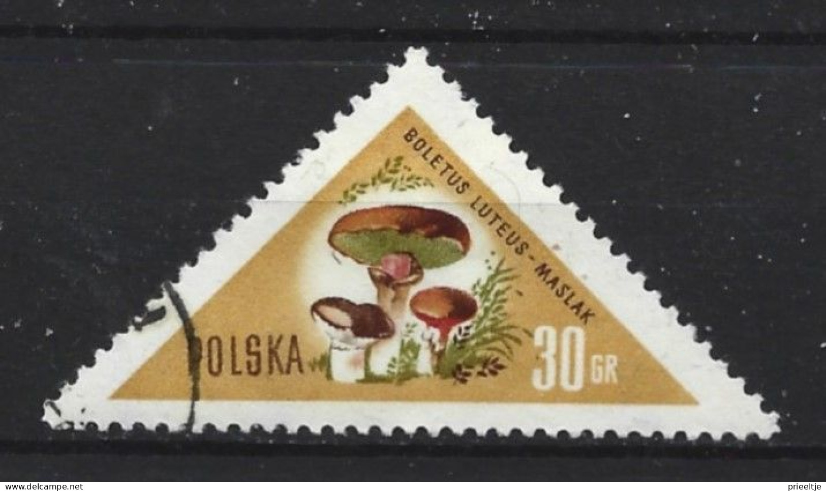 Poland 1959 Mushrooms  Y.T. 960 (0) - Oblitérés