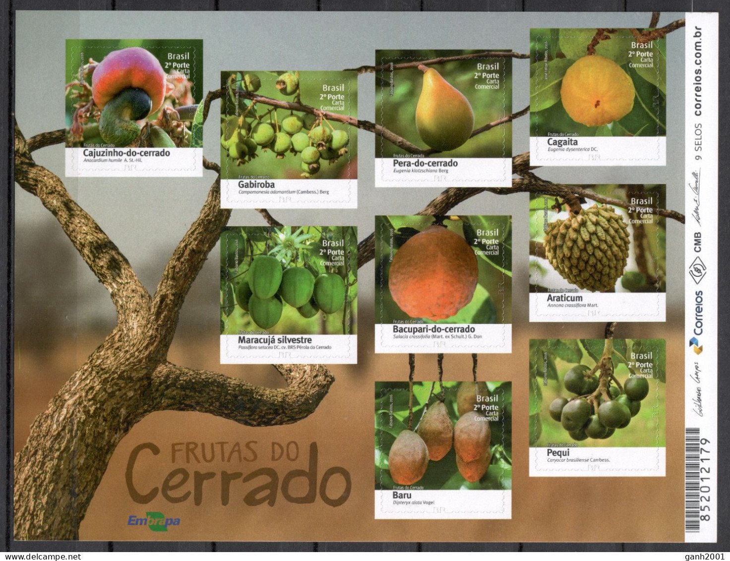 Brazil 2016 Brasil / Fruits MNH Frutas Früchte / Cu22147  27-37 - Fruits