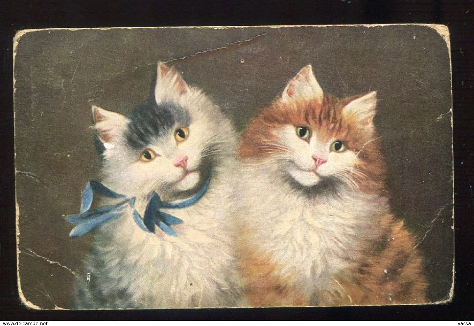 CPA  Chat Habillé, Chats. Series 1146 .cats - Dressed Animals