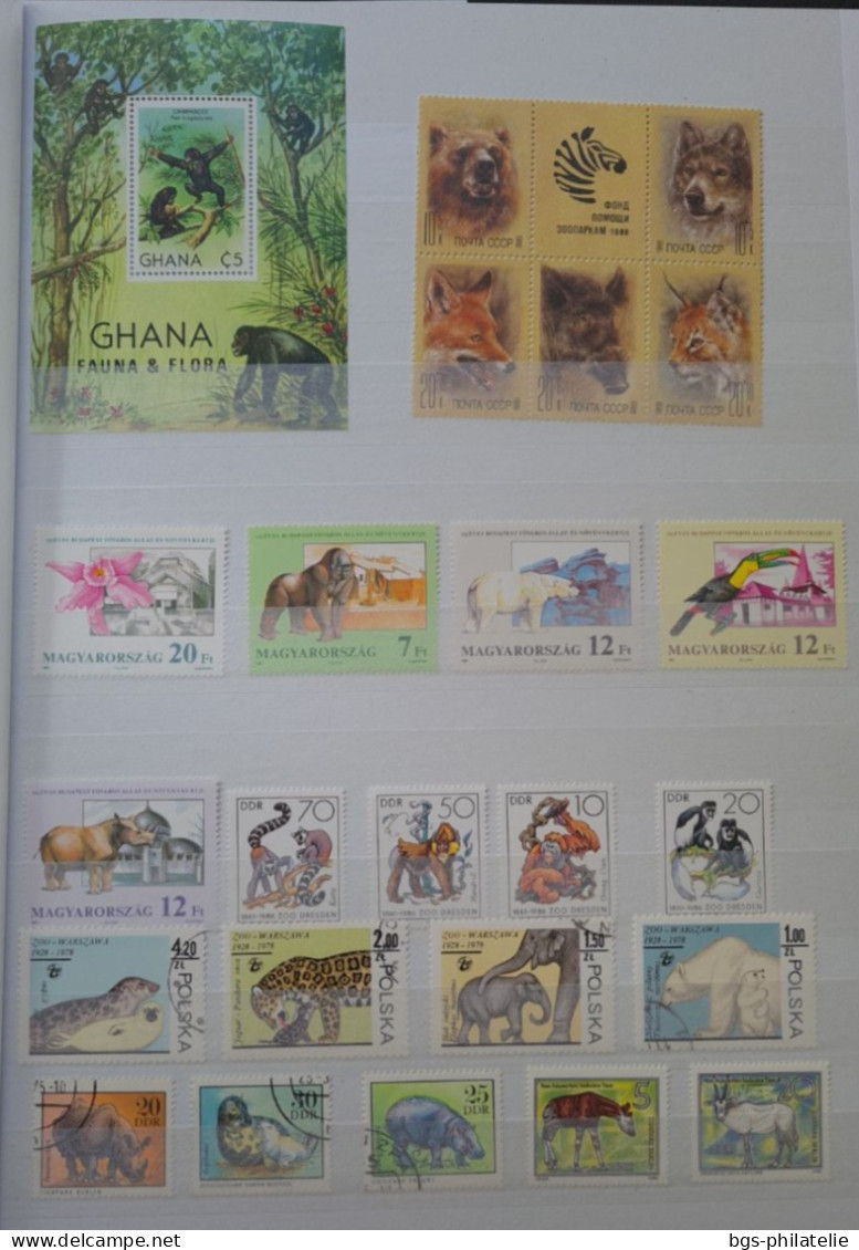 Collection De Timbres Sur Le Thème Des Animaux. - Collections (without Album)