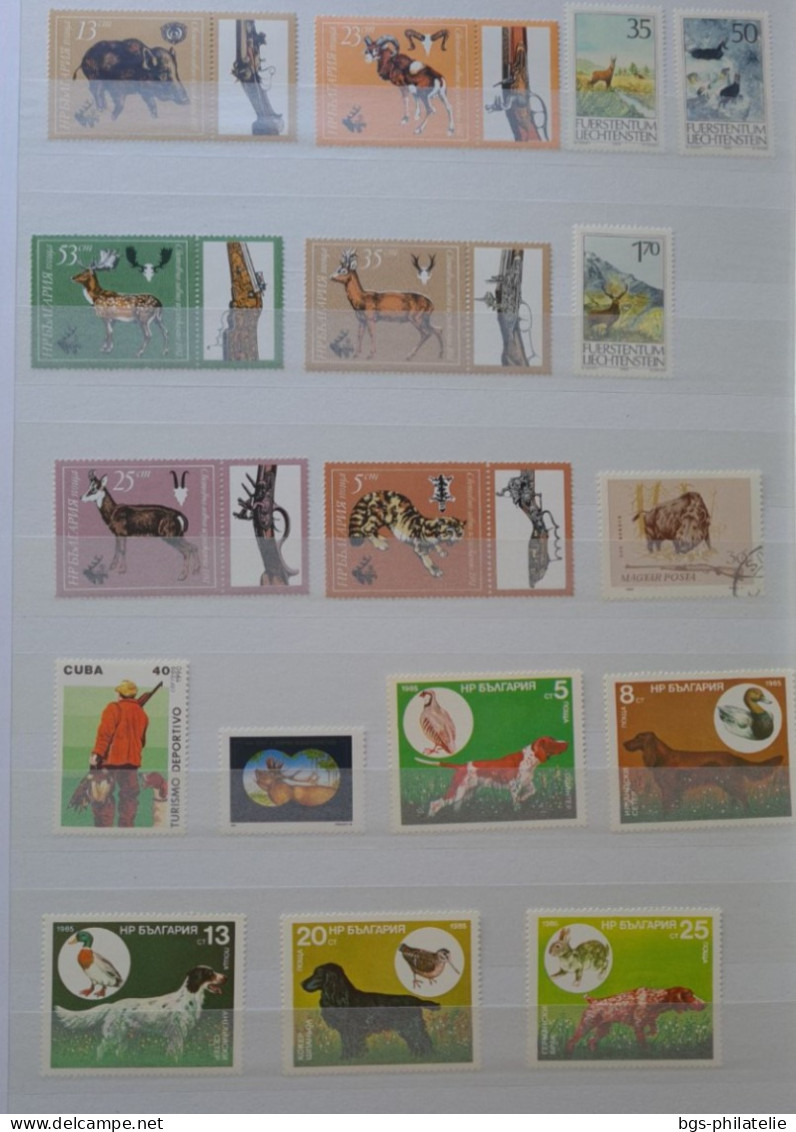 Collection de timbres sur le thème des Animaux.